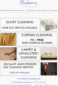 Blueberry Cleaning Company 1056721 Image 1